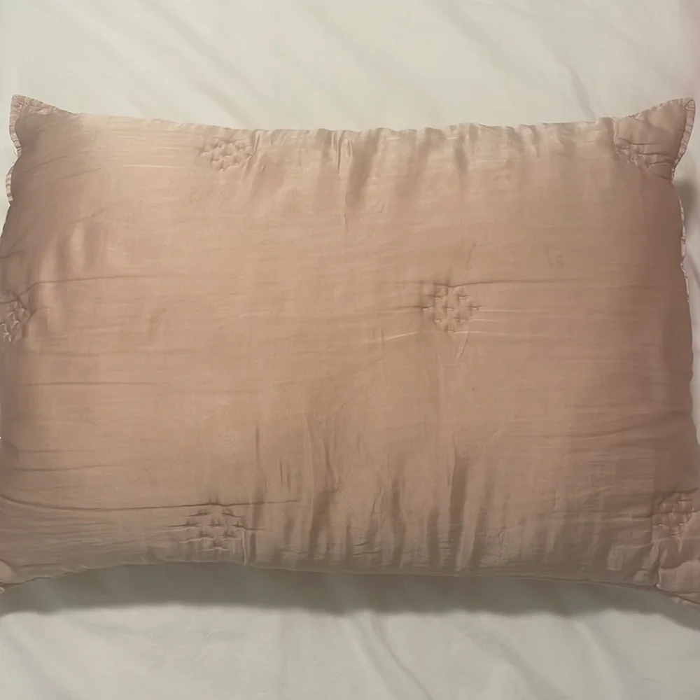 West Elm Baby Pink TENCEL Standard Shams Set